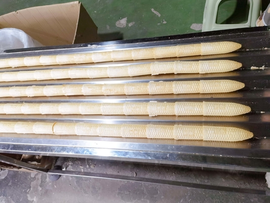 Harga yang bagus Mesin Pembuat Kerucut Gula Otomatis Dua Warna 7000pcs / H on line
